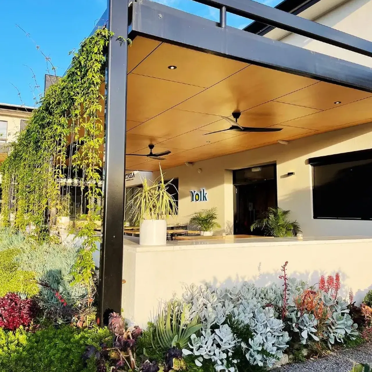 Yolk Walkerville