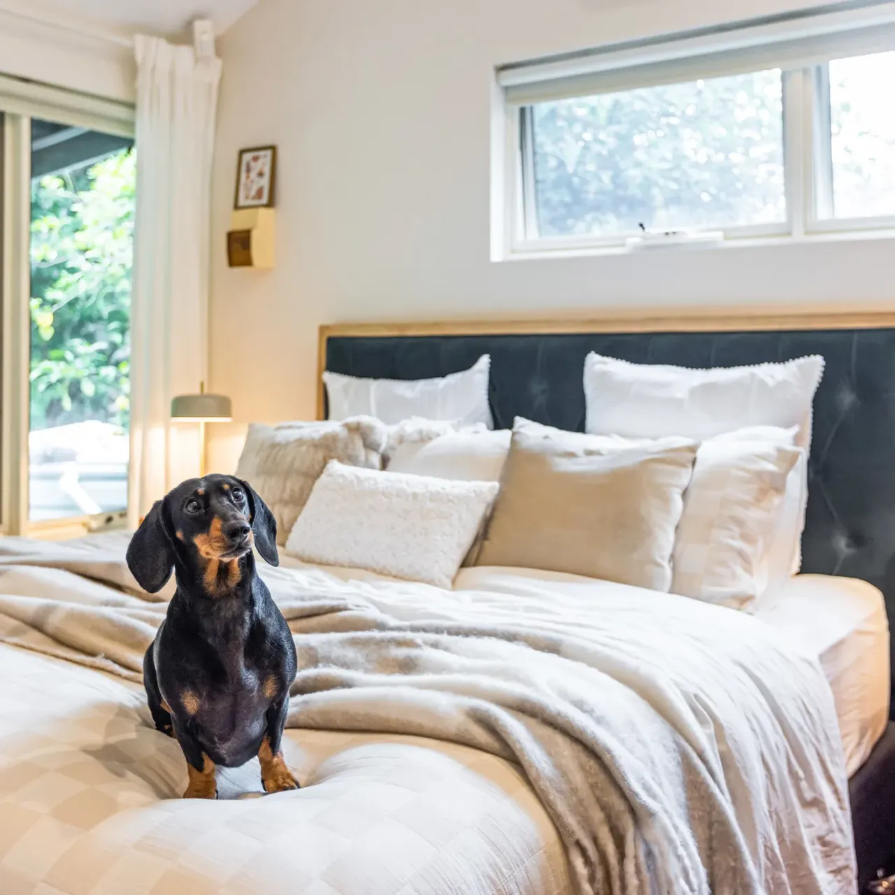 Boffo Property Styling