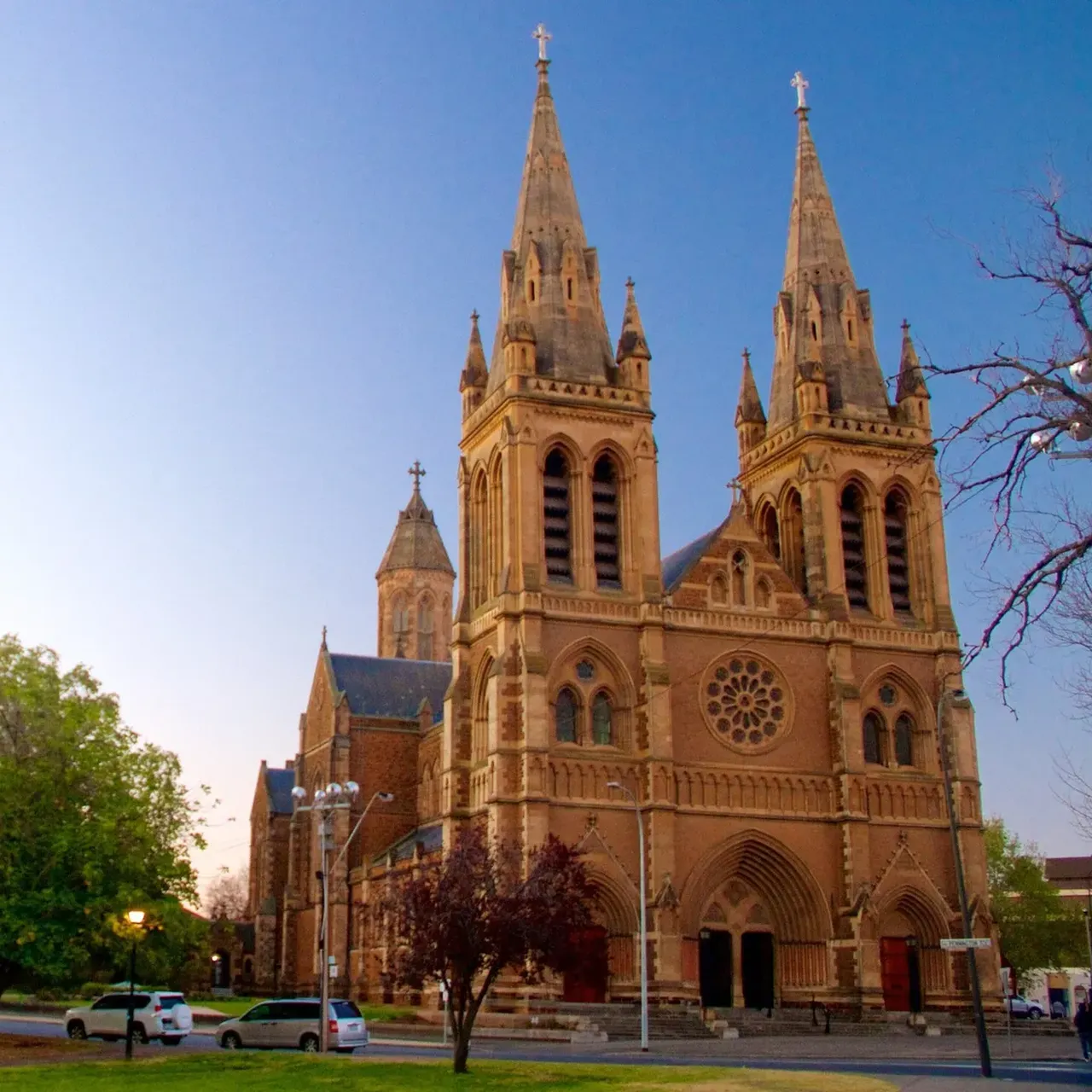 North Adelaide - Boffo Real Estate