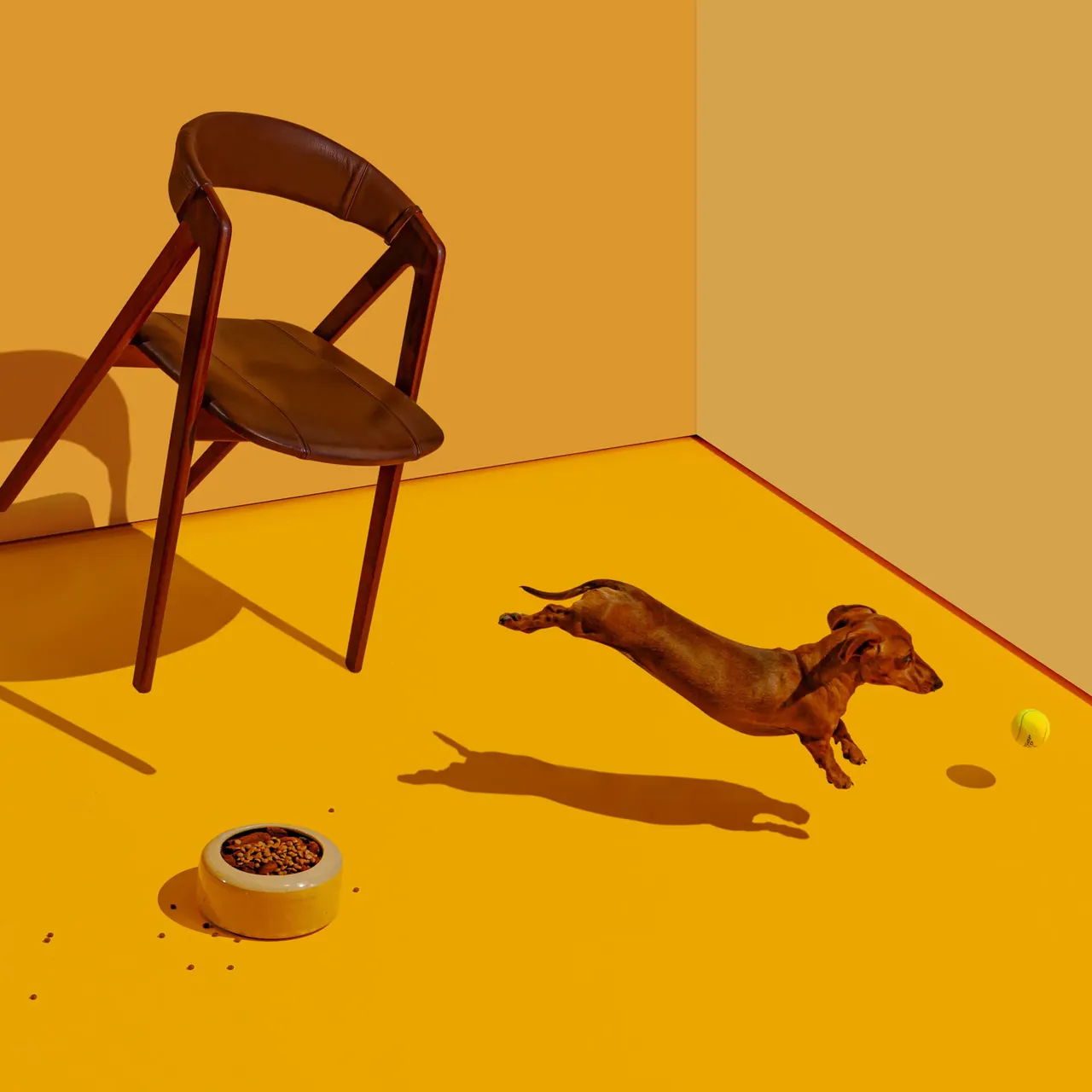 Boffo Real Estate - Dog Brand Image