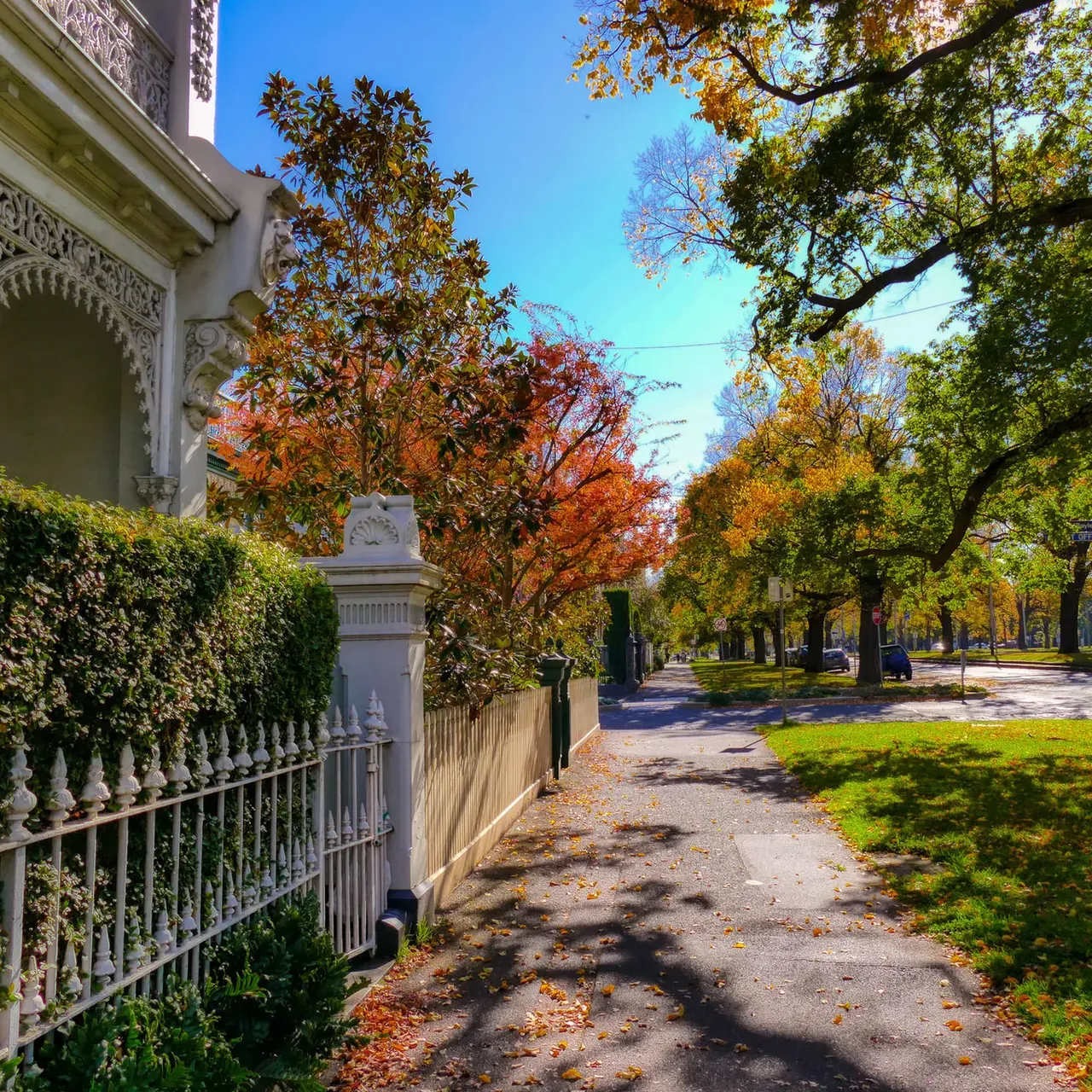 Autumn | Boffo Real Estate