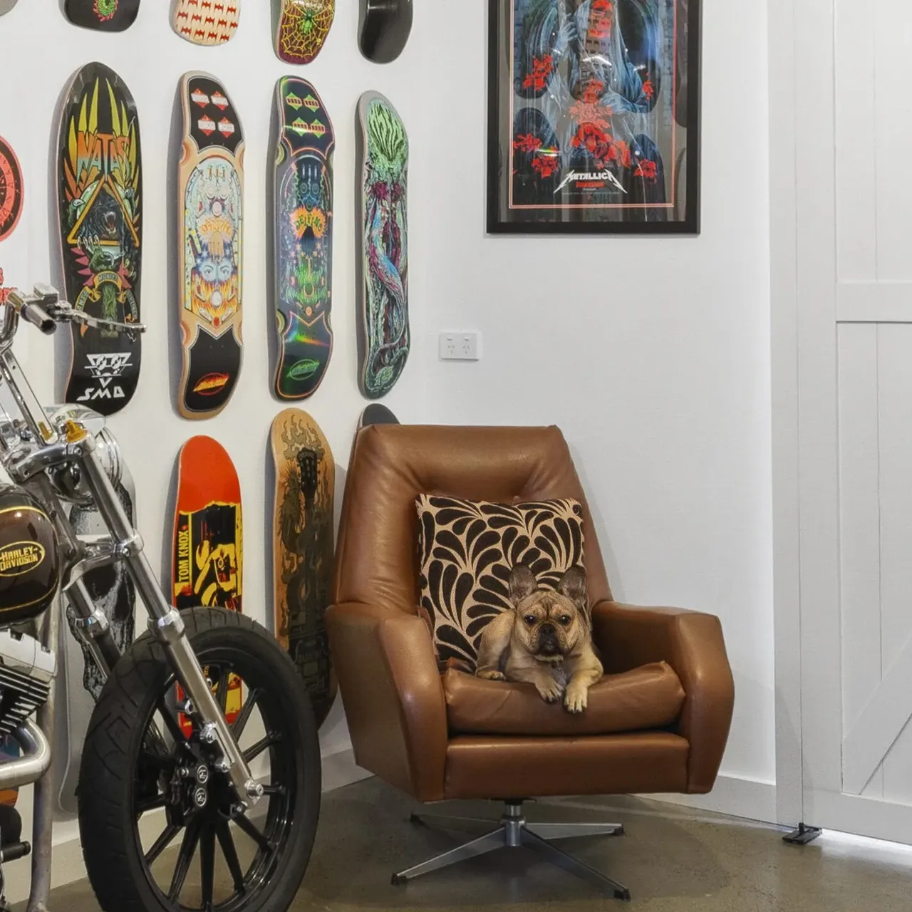 Boffo | Pet Friendly Features