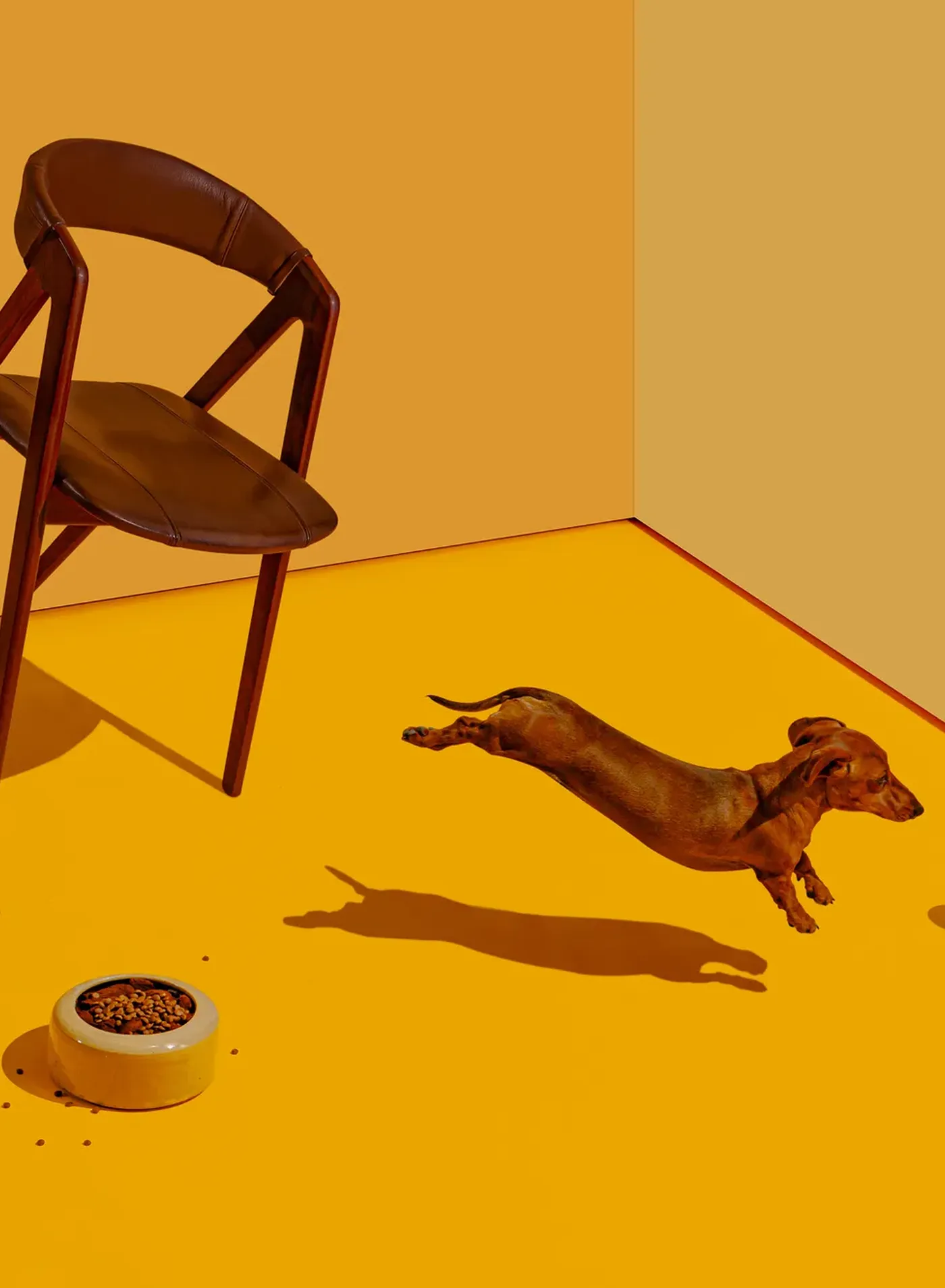 Boffo Real Estate Branded Imagery