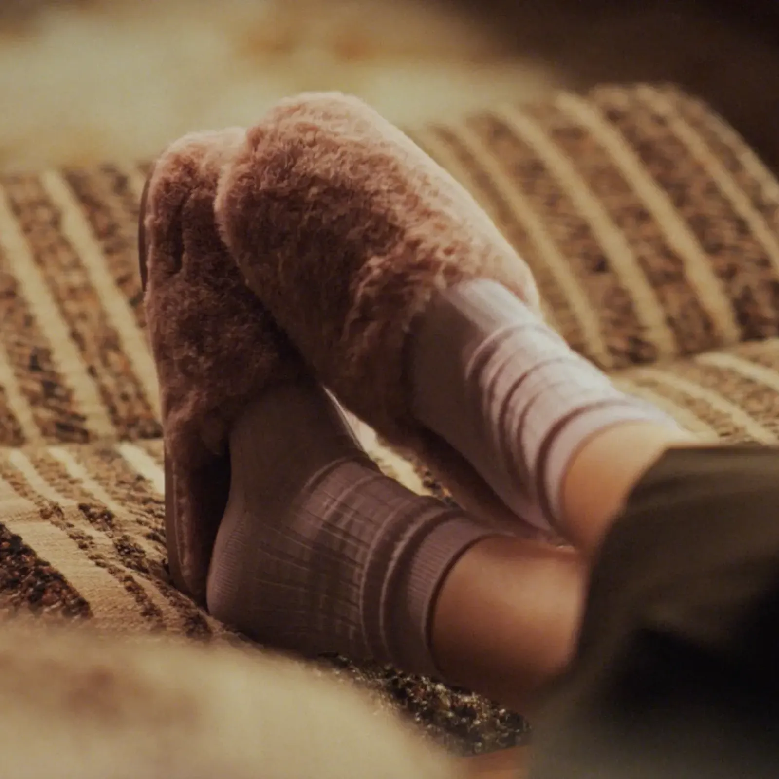 Boffo Real Estate Adelaide Rental Properties