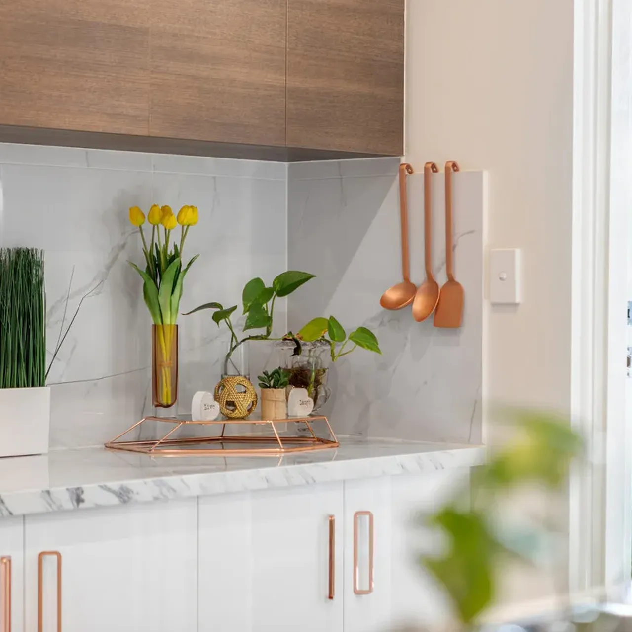 Modern Kitchen Space