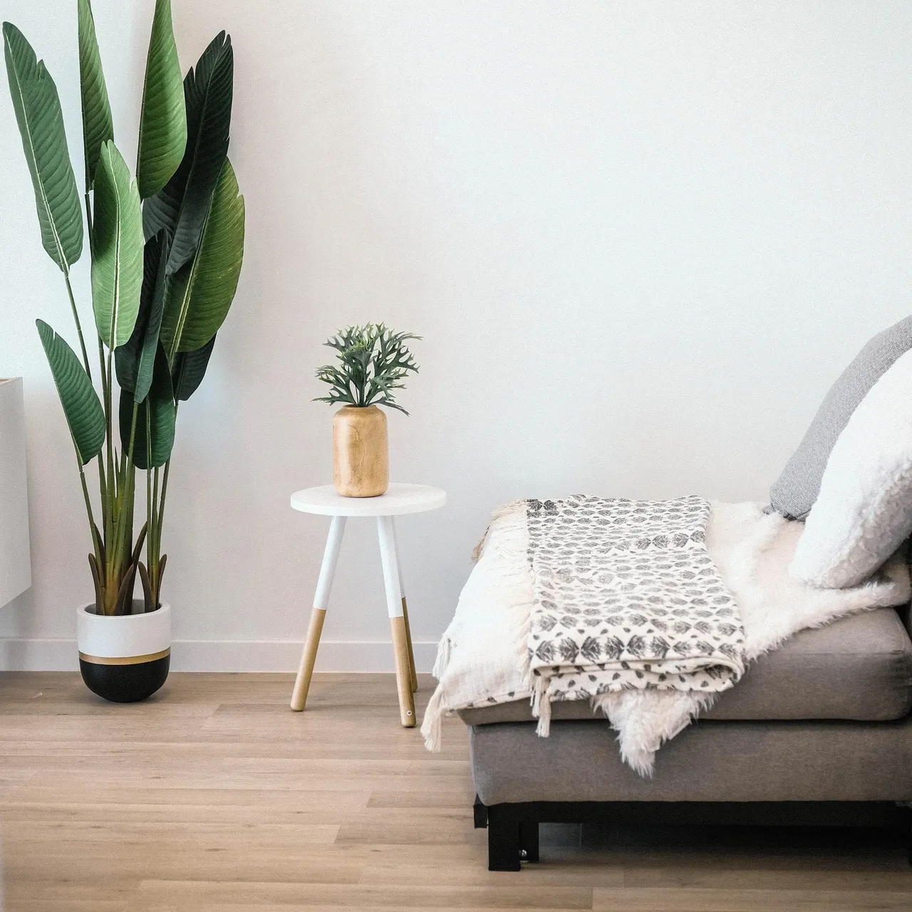 Boffo Bring on Spring