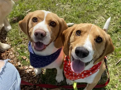 Elliott and Arthur Abbey H