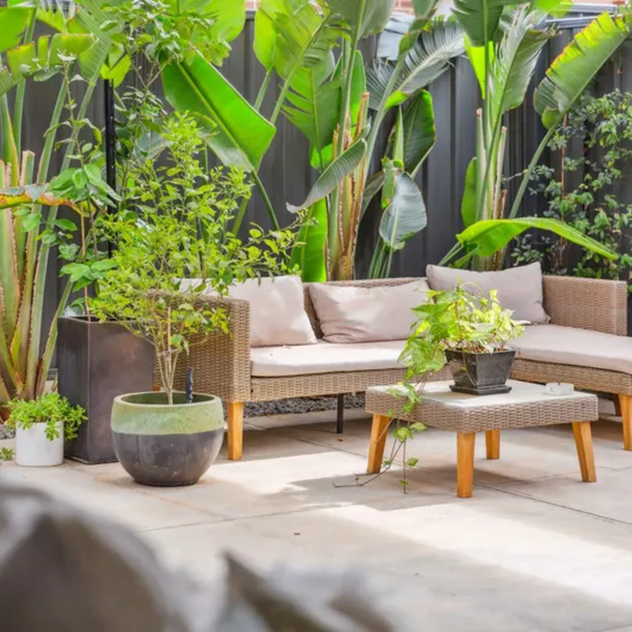 1 G6 A1360 53d7 89c4 594f 8046 1ed0 b5d7 1439 3ac1 20250406115408 800x600